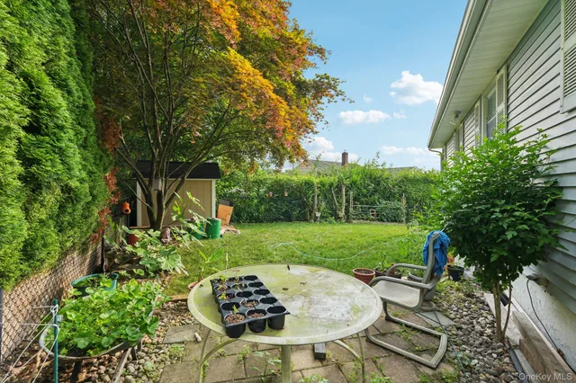 a view of a backyard with table and chairs potted plants and large tree