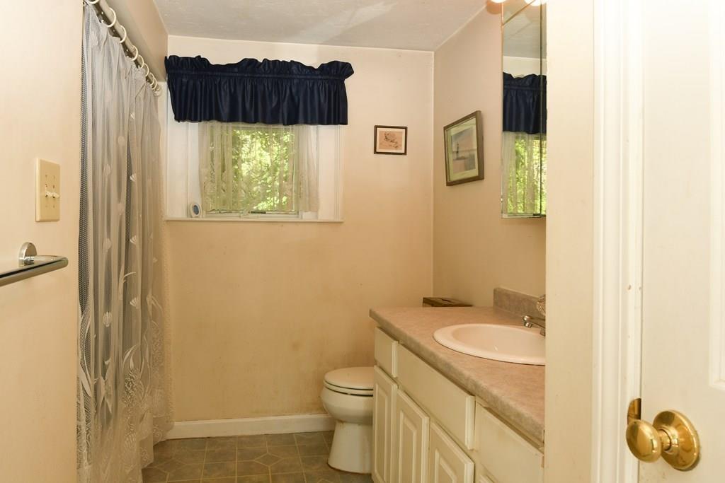366 Spring Street Hanson, MA 02341 - Photo 10 of 13 a bathroom with a toilet a sink and mirror