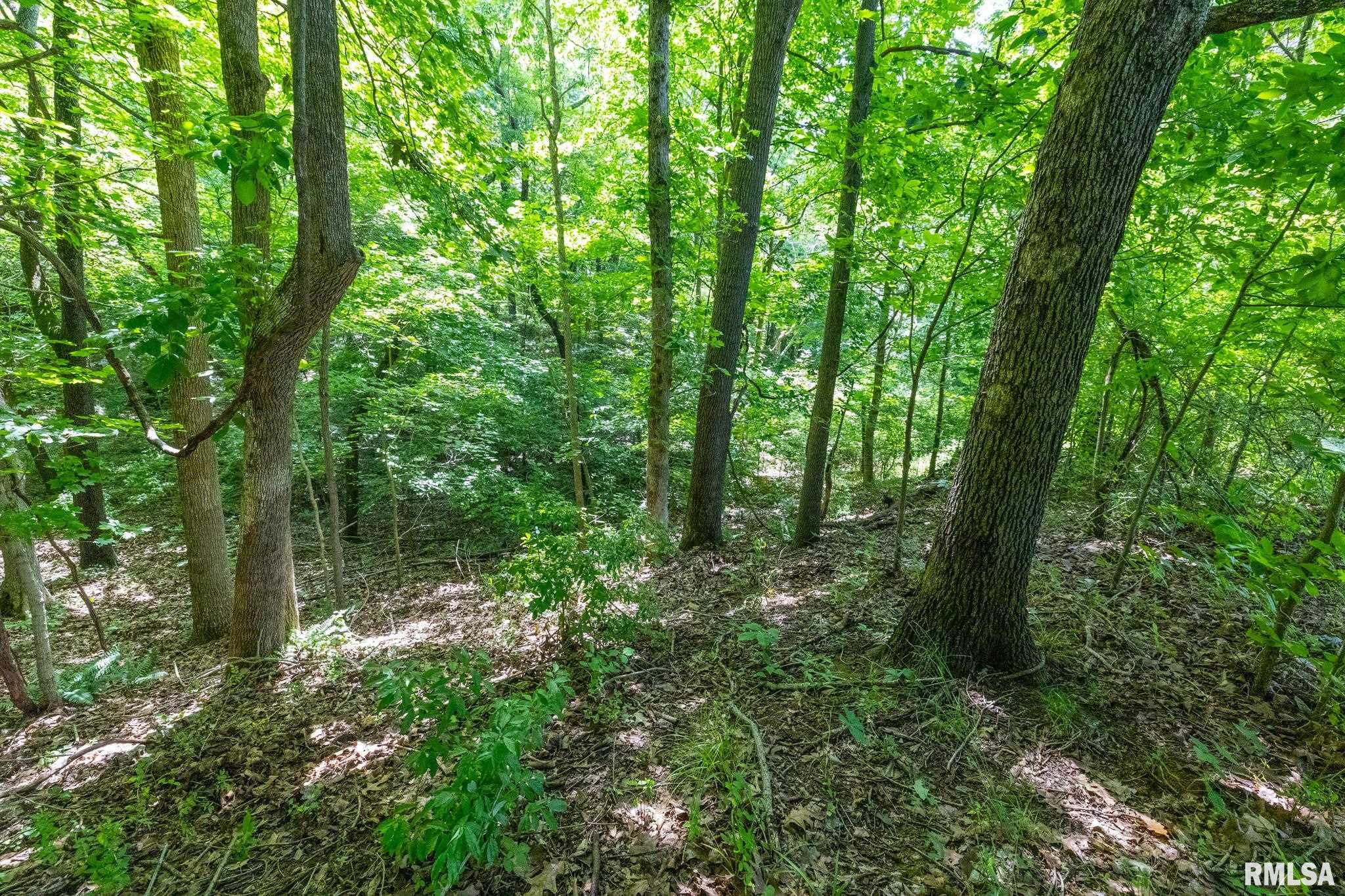 1770 Aldridge Road Cobden, IL 62920 - Photo 58 of 71