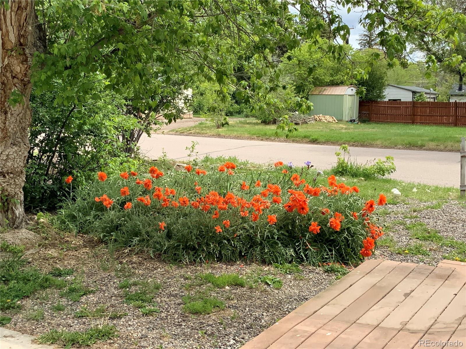 1011 Main Street Meeker, CO 81641 - Photo 14 of 28 a view of a garden with flowers and trees