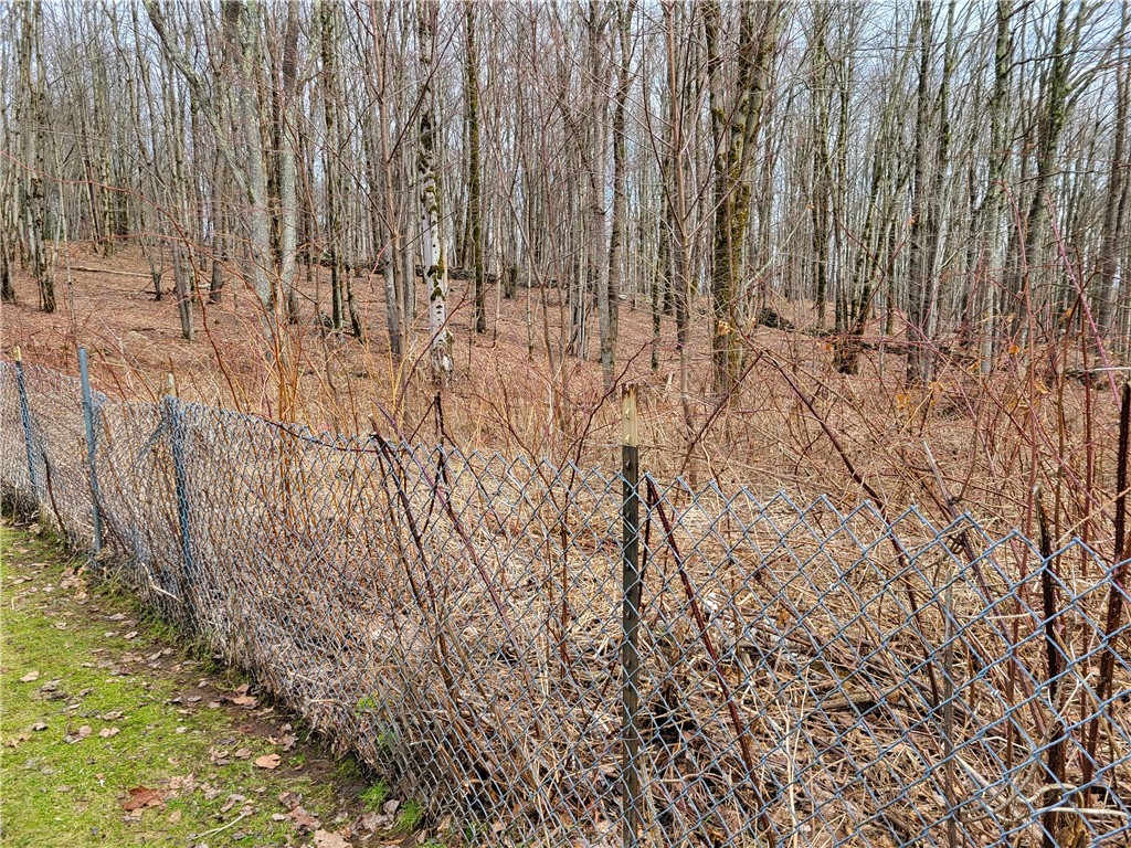 538 Ceresna Road Delhi, NY 13753 - Photo 24 of 33 Wooded arers (stone wall)