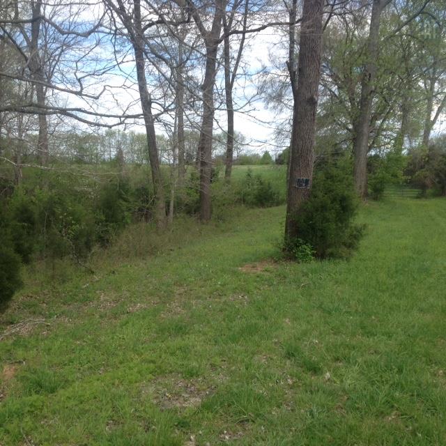 0 Mt Olivet Road Columbia, TN 38401 - Photo 3 of 7 Gallery Image 3