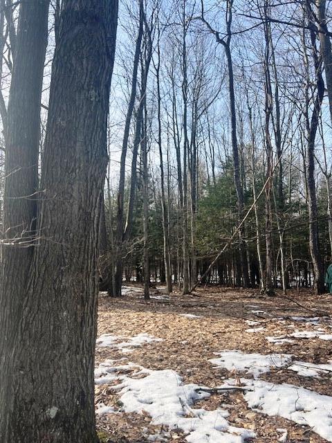 0 West Adams Road Hesperia, MI 49421 - Photo 47 of 74