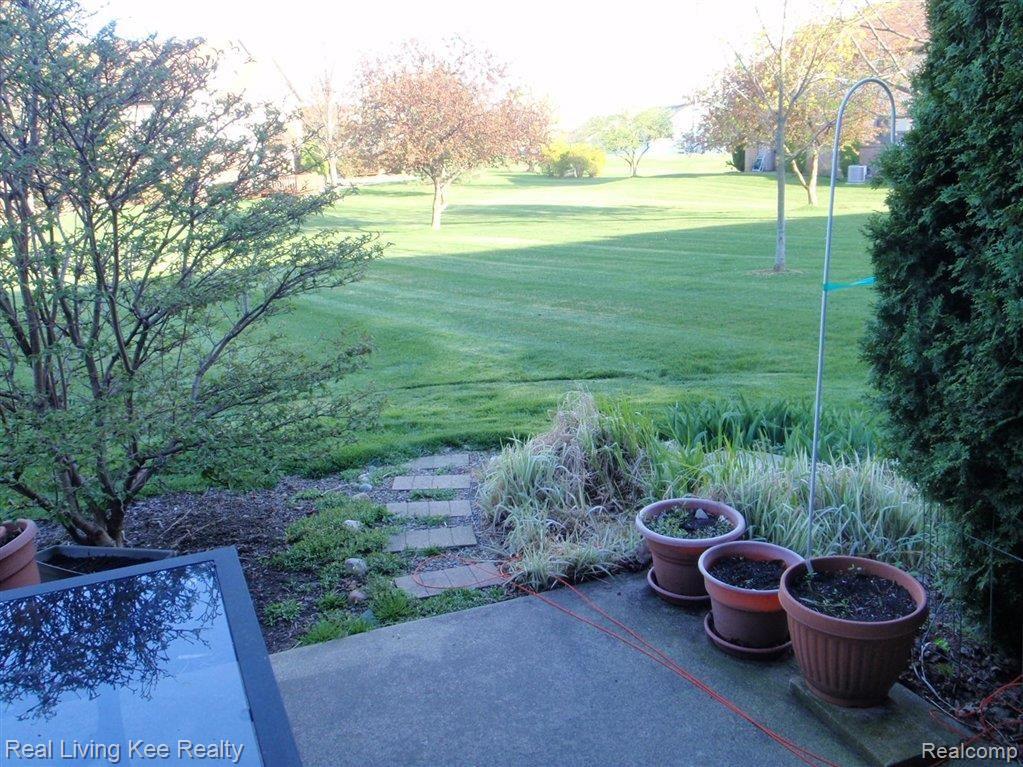 1555 Meadowside Drive Rochester, MI 48307 - Photo 8 of 9 Park Like View
