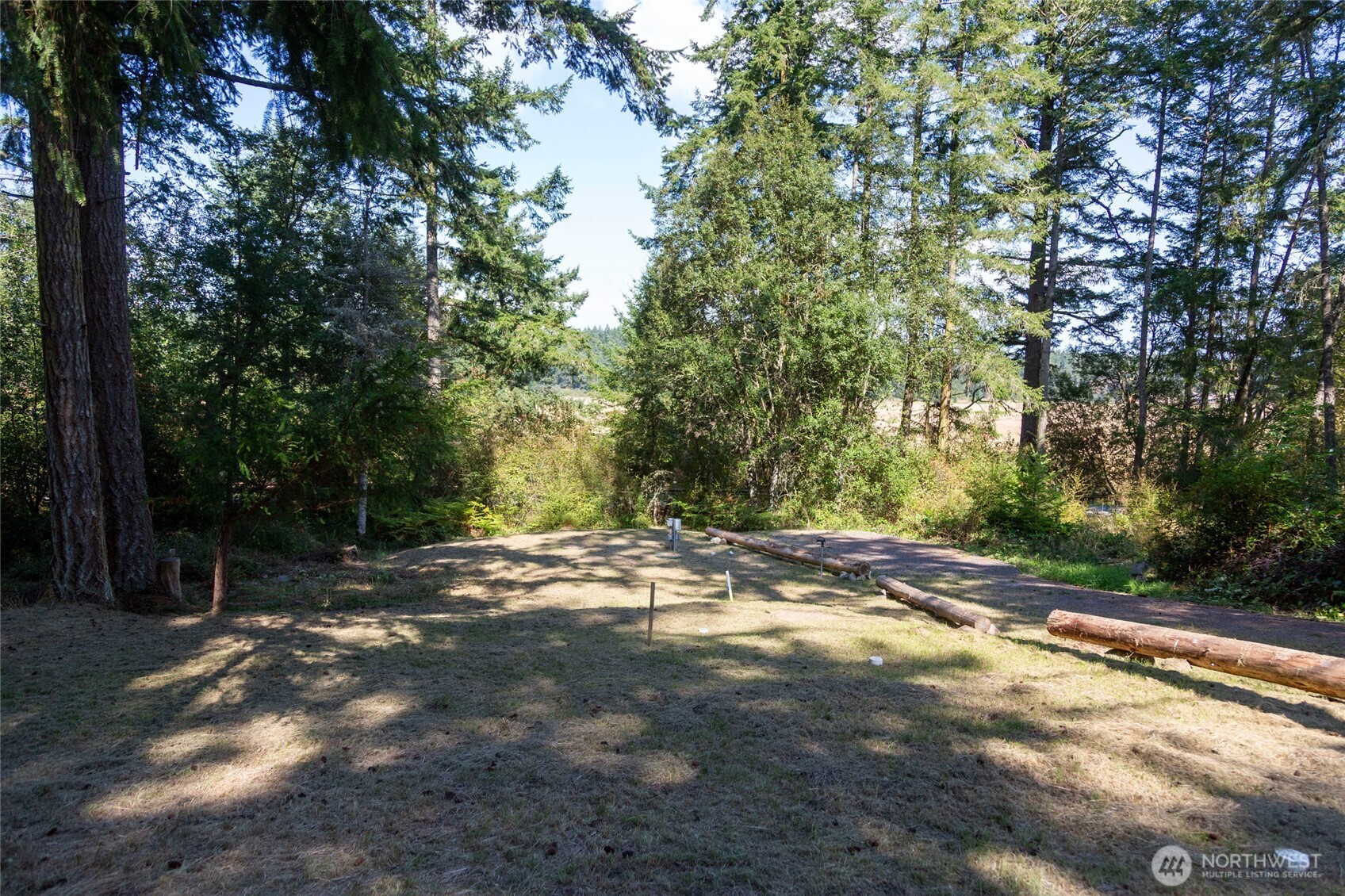 62 Quadra Lane Friday Harbor, WA 98250 - Photo 4 of 10 a view of a tree in a yard