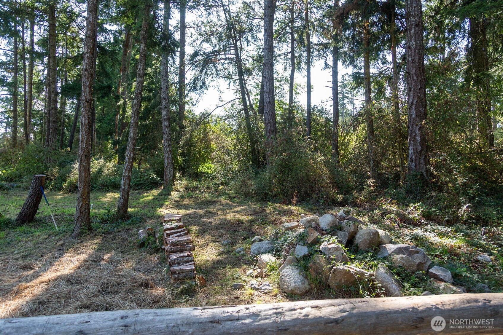 62 Quadra Lane Friday Harbor, WA 98250 - Photo 5 of 10 a view of a forest filled with trees