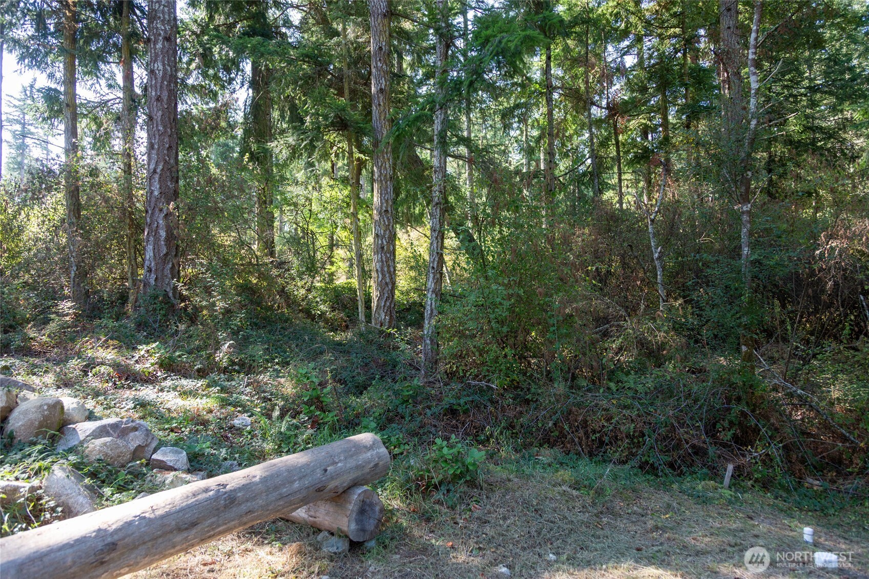 62 Quadra Lane Friday Harbor, WA 98250 - Photo 6 of 10 a view of a forest with trees