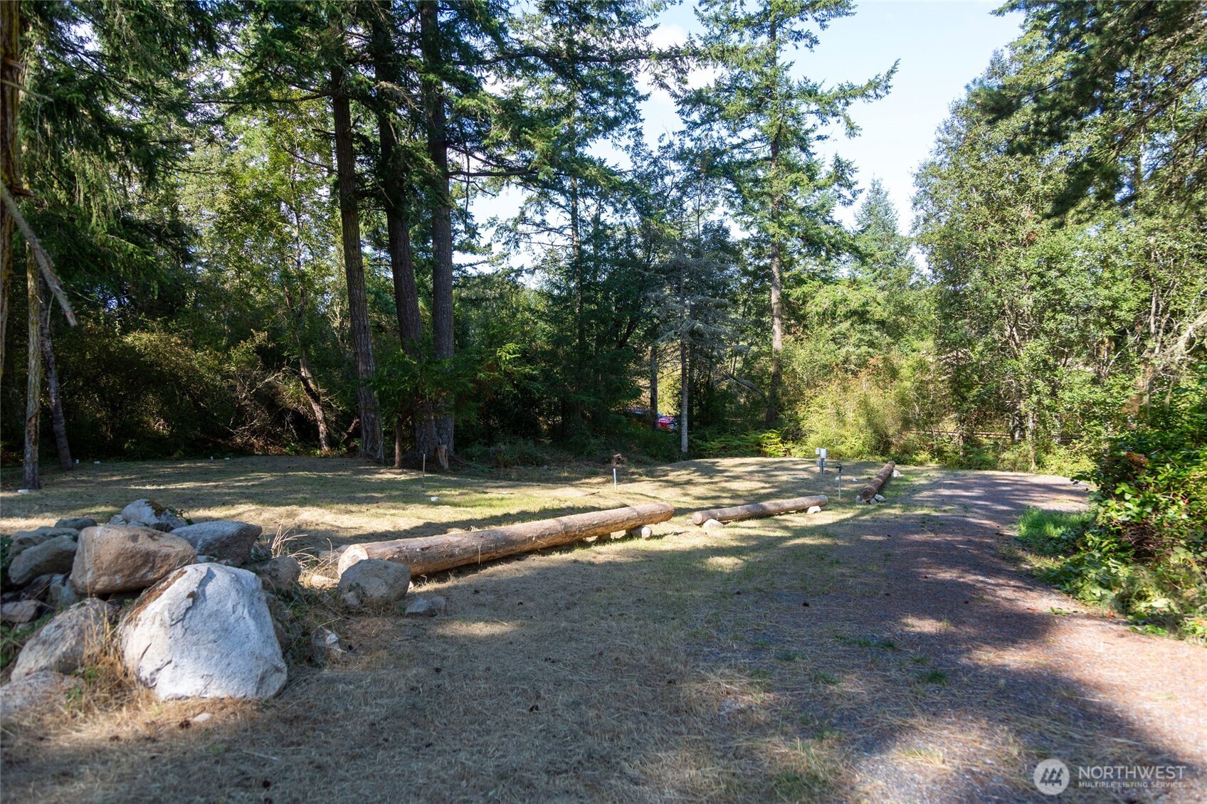62 Quadra Lane Friday Harbor, WA 98250 - Photo 9 of 10 a view of dirt yard with a large tree