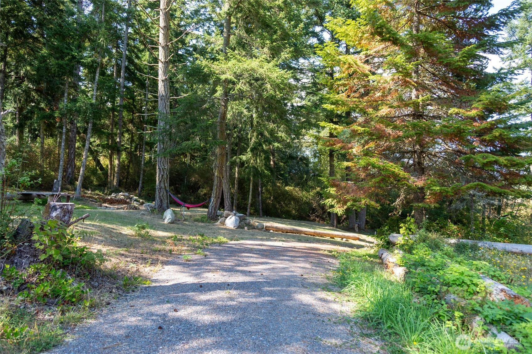 62 Quadra Lane Friday Harbor, WA 98250 - Photo 10 of 10 a view of a yard with a tree