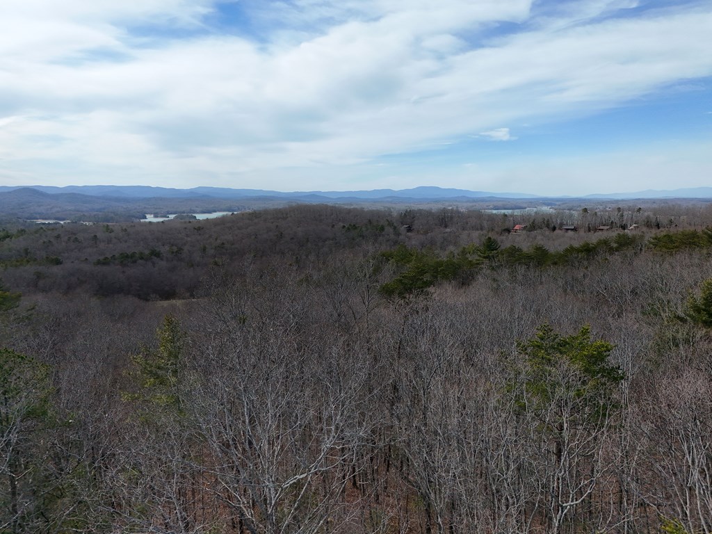 2.94-acr Padena Road Blue Ridge, GA 30513 - Photo 11 of 43 Gallery Image 11