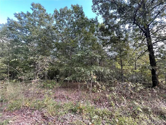 $29,900 | 11 Woodland Heights West, Poplar Bluff, MO 63901