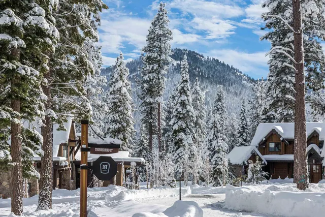a view of a street with trees