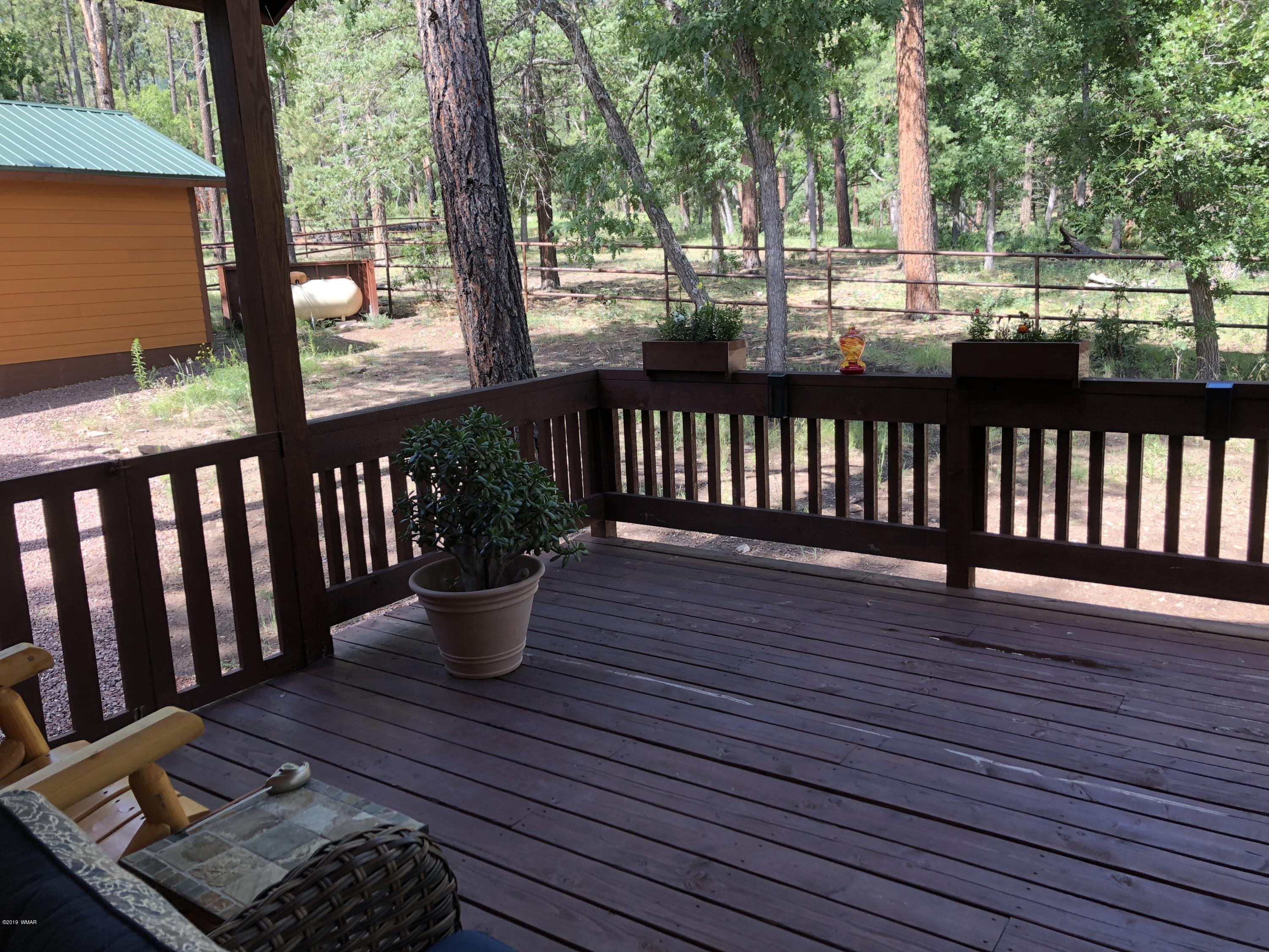 15 2192 Alpine, AZ 85920 - Photo 34 of 81