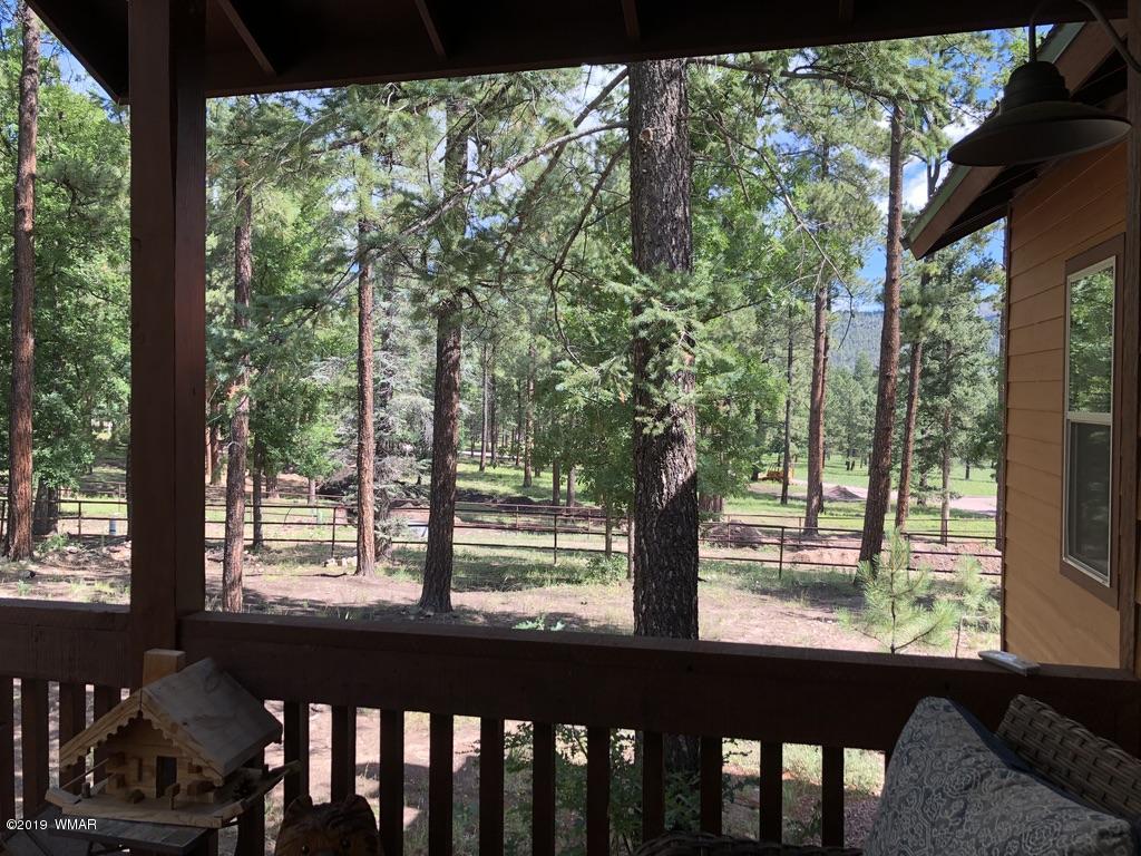 15 2192 Alpine, AZ 85920 - Photo 49 of 81
