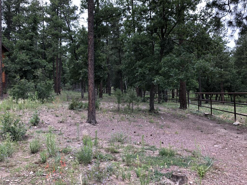 15 2192 Alpine, AZ 85920 - Photo 65 of 81