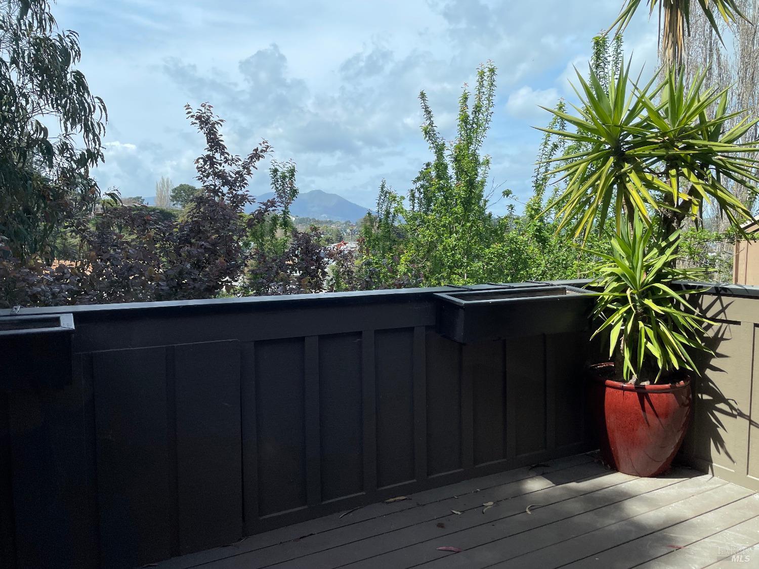 48 Marin Avenue Sausalito, CA 94965 - Photo 11 of 18 a vase of flowers sitting on a table with wooden floor