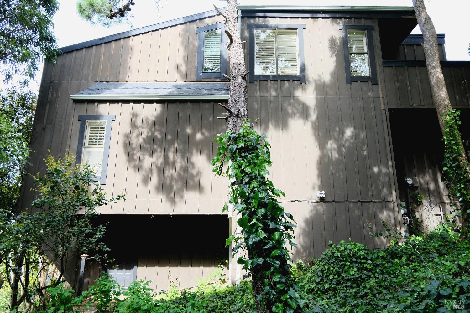 48 Marin Avenue Sausalito, CA 94965 - Photo 3 of 18 an outdoor view of garden