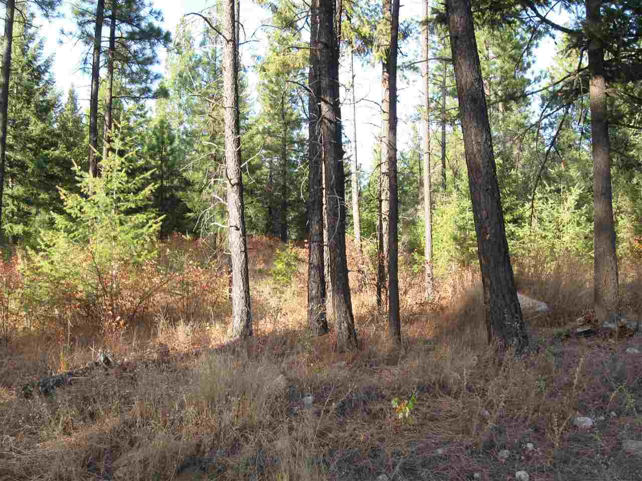 0 Spring Valley Road, Unit BETTY MAE WAY Newport, WA 99156 - Photo 2 of 19 Gallery Image 2