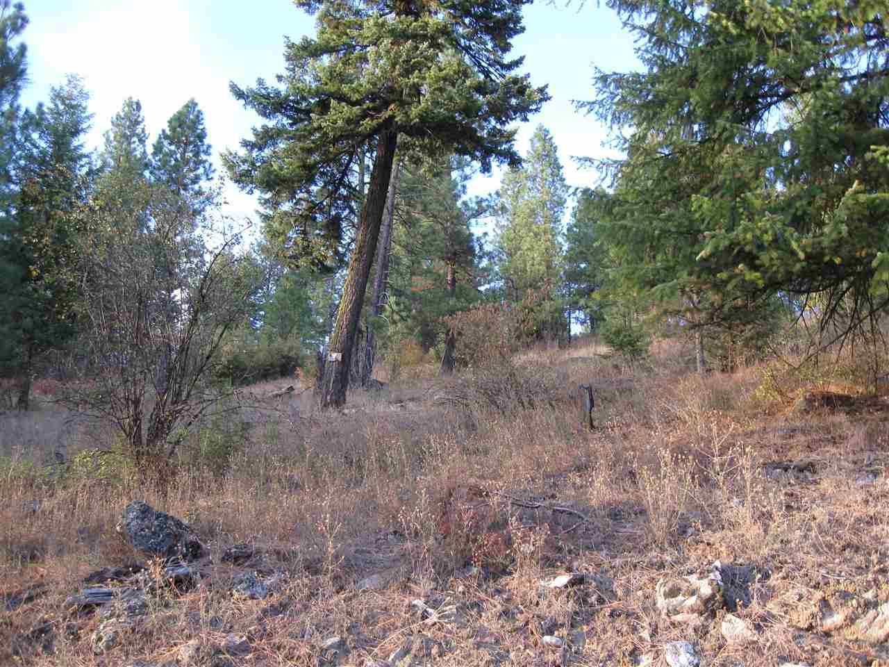0 Spring Valley Road, Unit BETTY MAE WAY Newport, WA 99156 - Photo 16 of 19 Gallery Image 16
