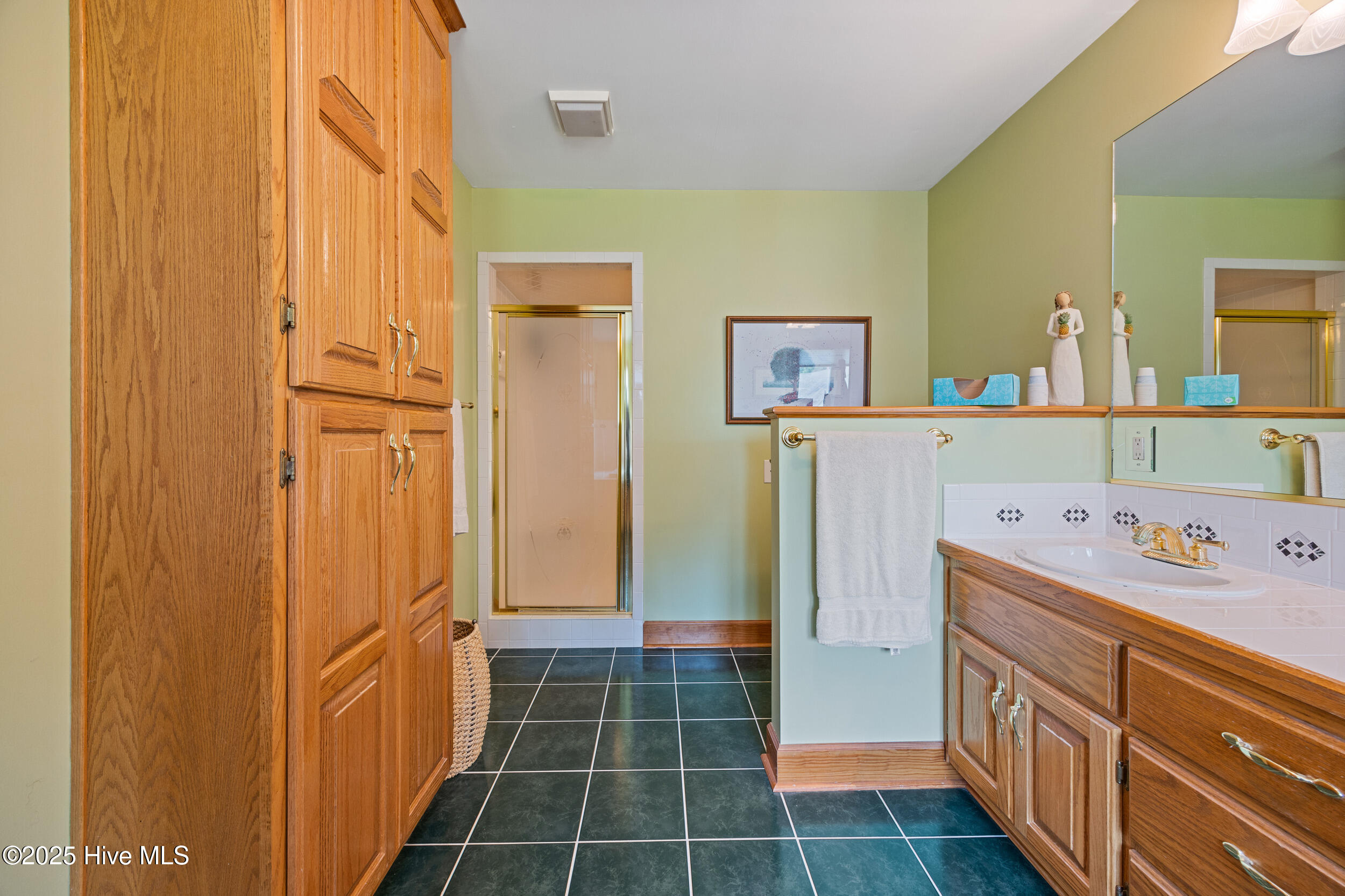 953 Old Ferry Road Edenton, NC 27932 - Photo 15 of 53 Primary bath