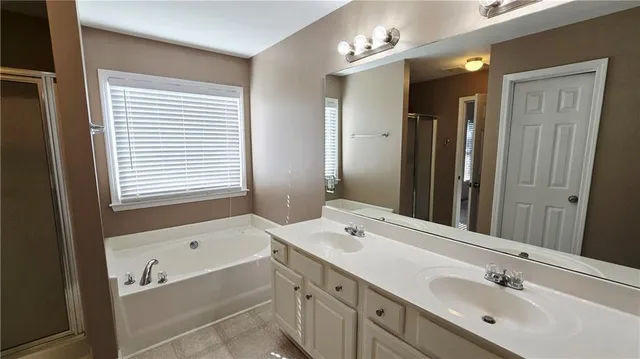 a bathroom with a tub a double vanity sink and mirror