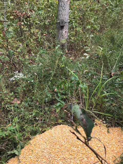 823 Buckys Road Webster, KY 40176 - Photo 10 of 16 Photo Sep 26, 1 49 26 PM