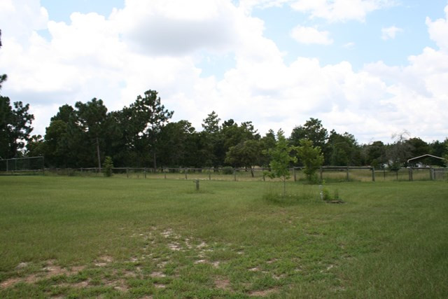 340 Pine Acres Road Windsor, SC 29856 - Photo 41 of 45