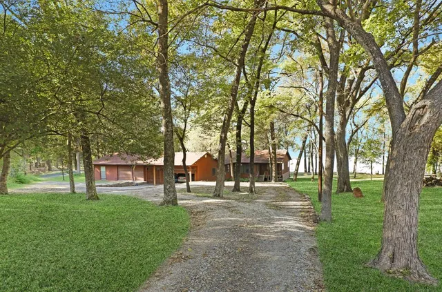 a view of a park with a tree