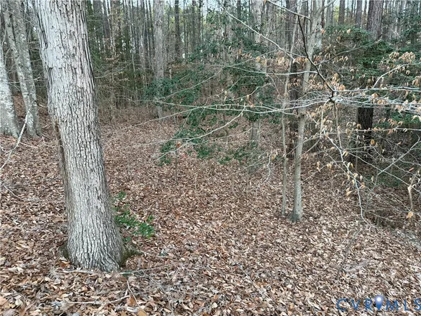 $242,000 | 13441 Morris Creek Crescent, Charles City, VA 23030