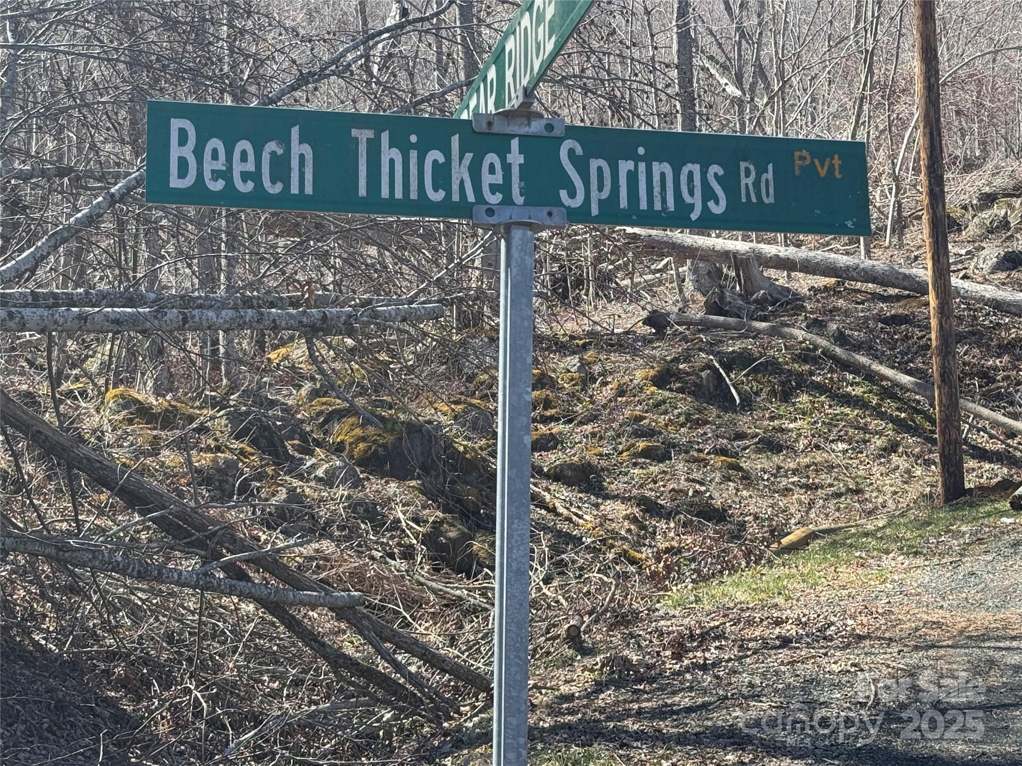 0 Beech Thicket Springs Road, Unit 40 Bakersville, NC 28705 - Photo 12 of 17 a street sign that is on a pole