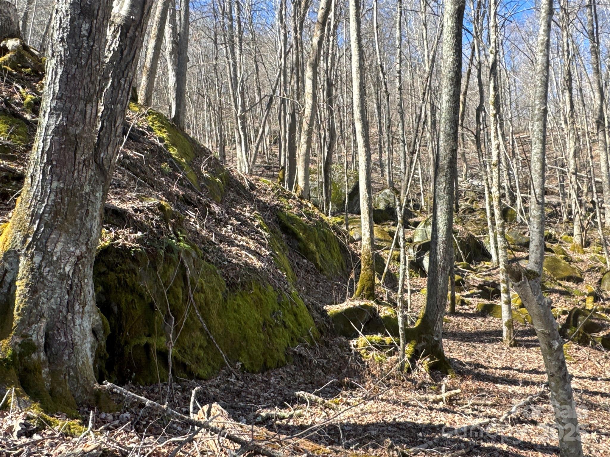 0 Beech Thicket Springs Road, Unit 40 Bakersville, NC 28705 - Photo 3 of 17 a view of a garden