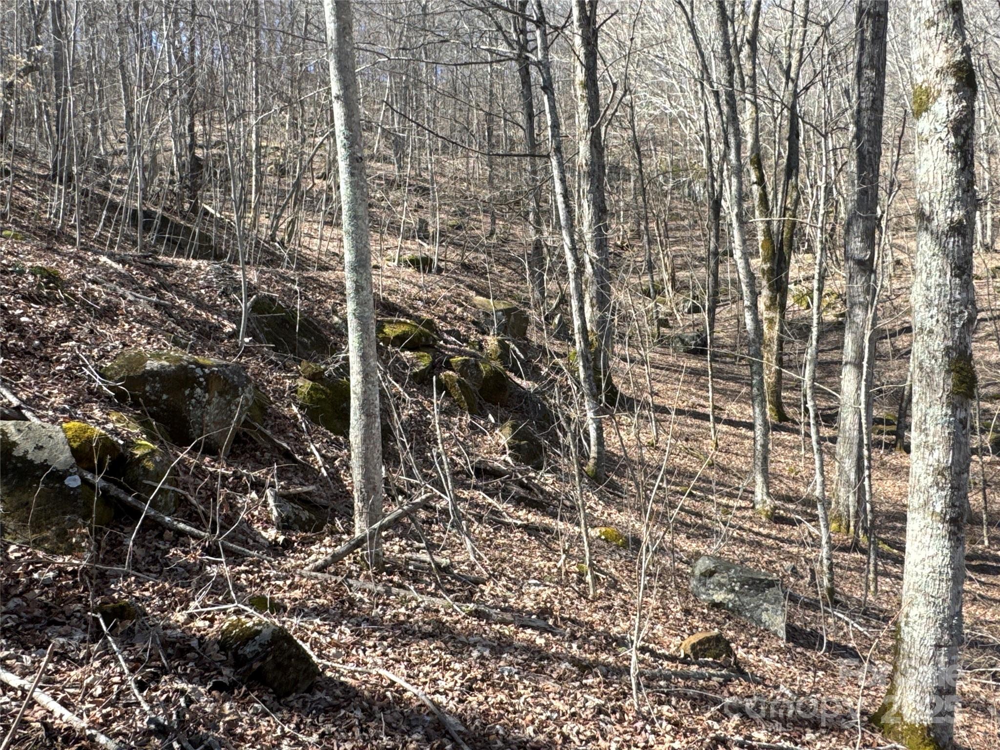 0 Beech Thicket Springs Road, Unit 40 Bakersville, NC 28705 - Photo 7 of 17 a view of a bathroom