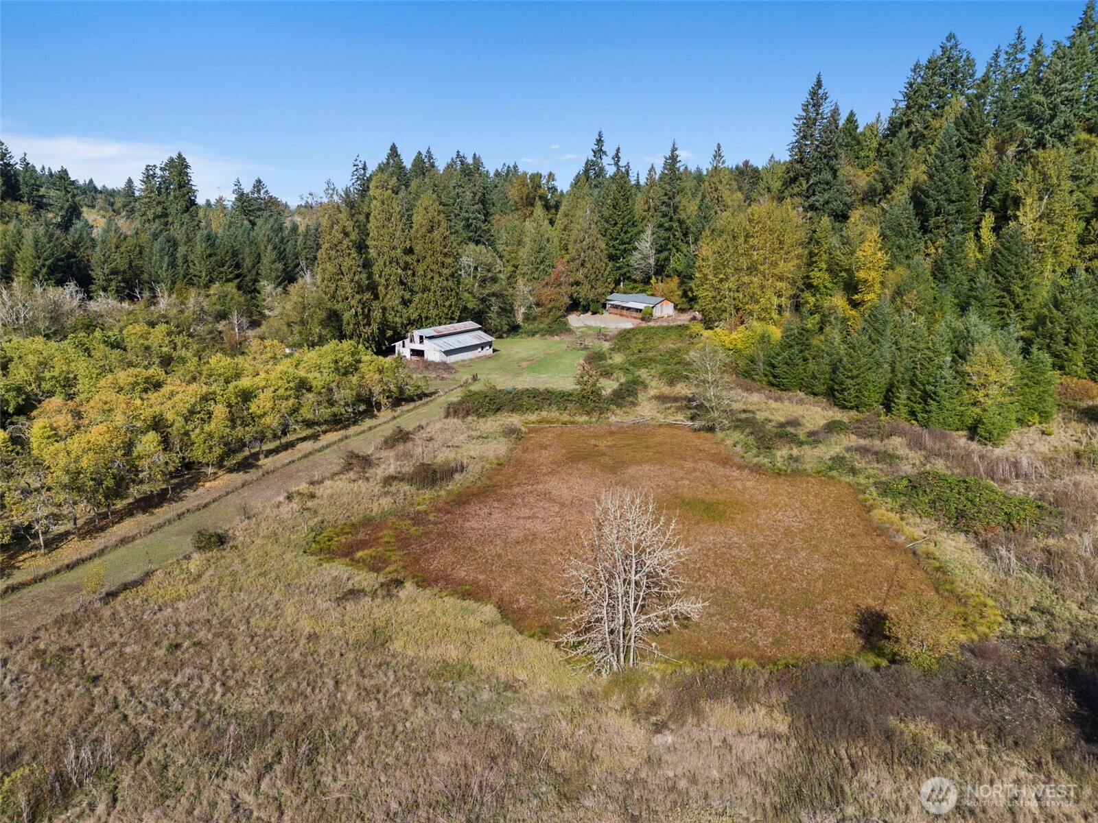 259-10 Tooley Road Toledo, WA 98591 - Photo 33 of 40
