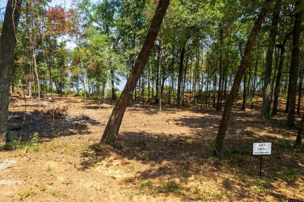 $350,000 | Lot 3 Big Oaks, Leesburg, TX 75451