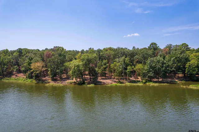 a view of a lake with houses in the back