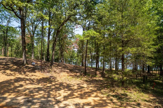 a view of outdoor space with trees