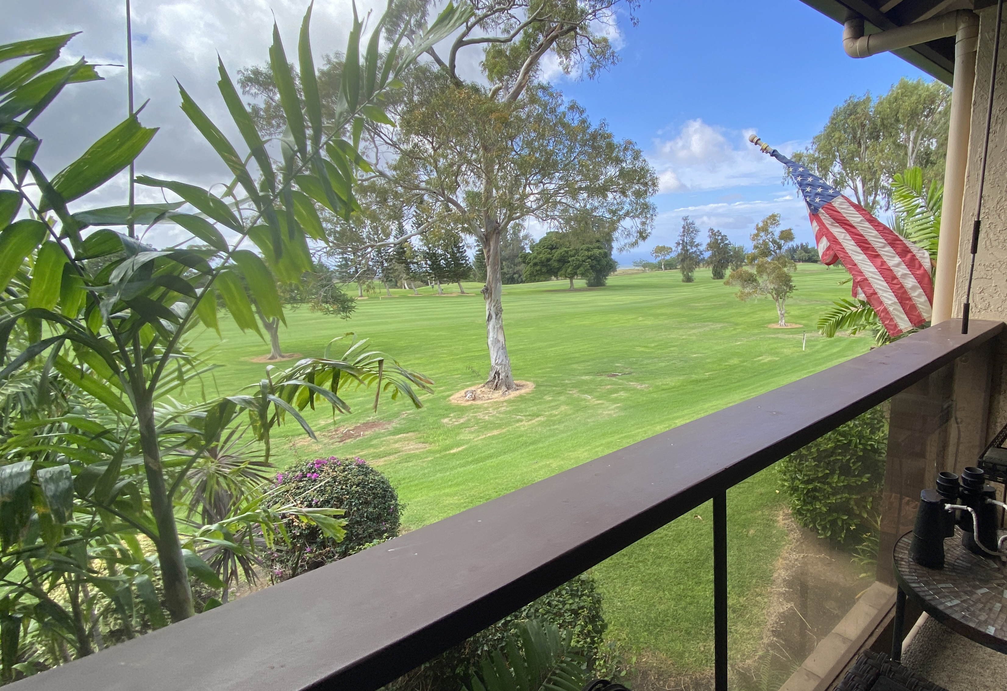 68-3840 Lua Kula Street, Unit E202 Waikoloa, HI 96738 - Photo 22 of 26