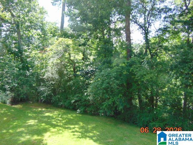 284 Echols Road Gardendale, AL 35071 - Photo 31 of 37