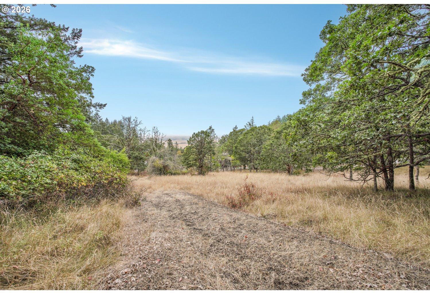 0 Sheep Head Road Brownsville, OR 97327 - Photo 7 of 18 Gallery Image 7
