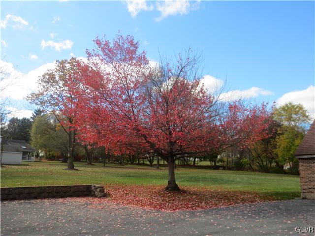 851 Bangor Road Nazareth, PA 18064 - Photo 39 of 49 a green field with lots of trees