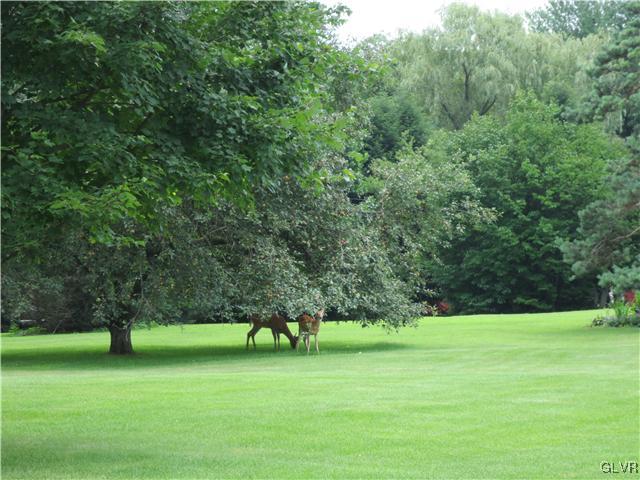 851 Bangor Road Nazareth, PA 18064 - Photo 45 of 49 a view of a trees in a park