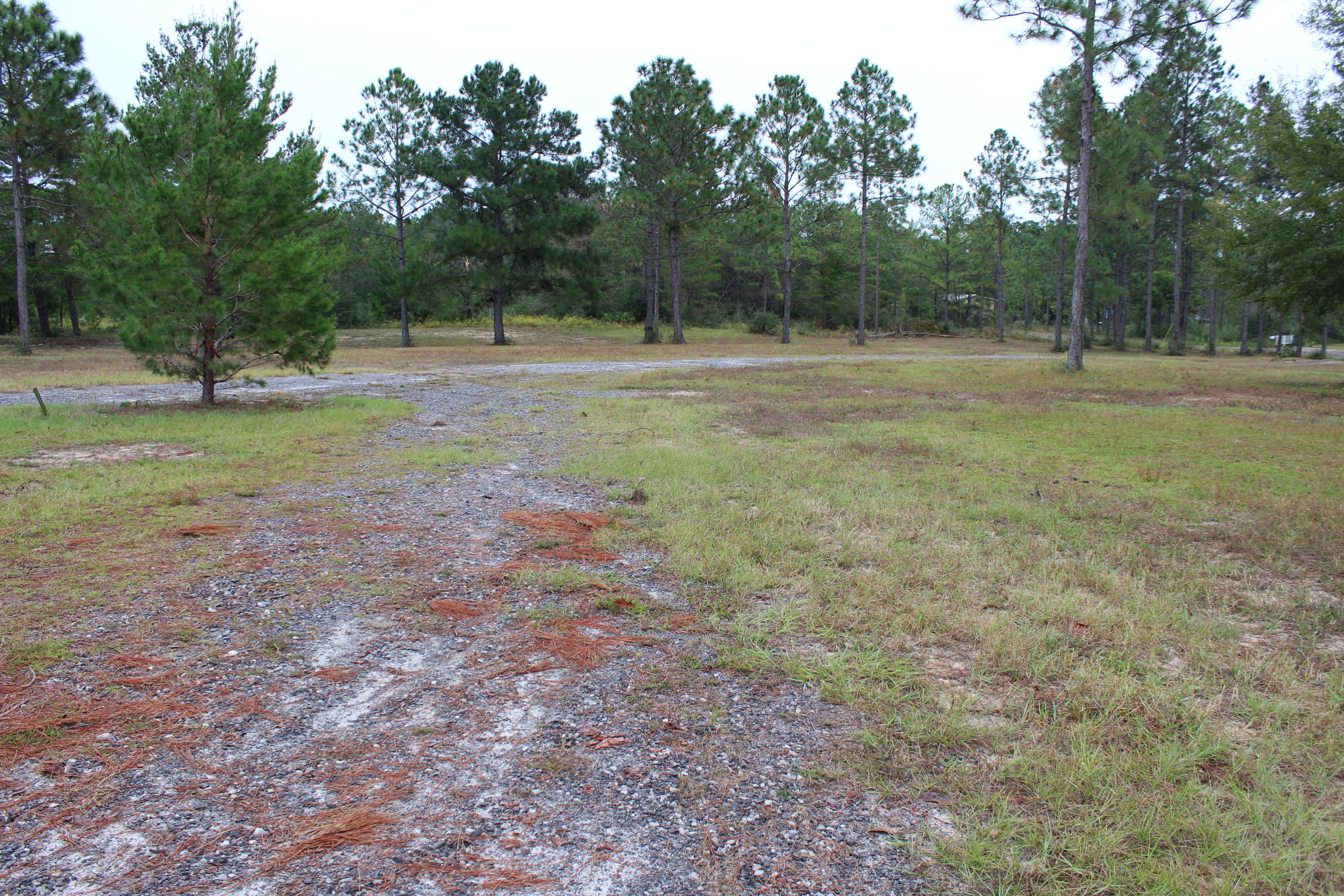 213 Wagon Wheel Road DeFuniak Springs, FL 32435 - Photo 7 of 22 C01B4DA4-2BDA-4550-9A36-DA7BF75175C2