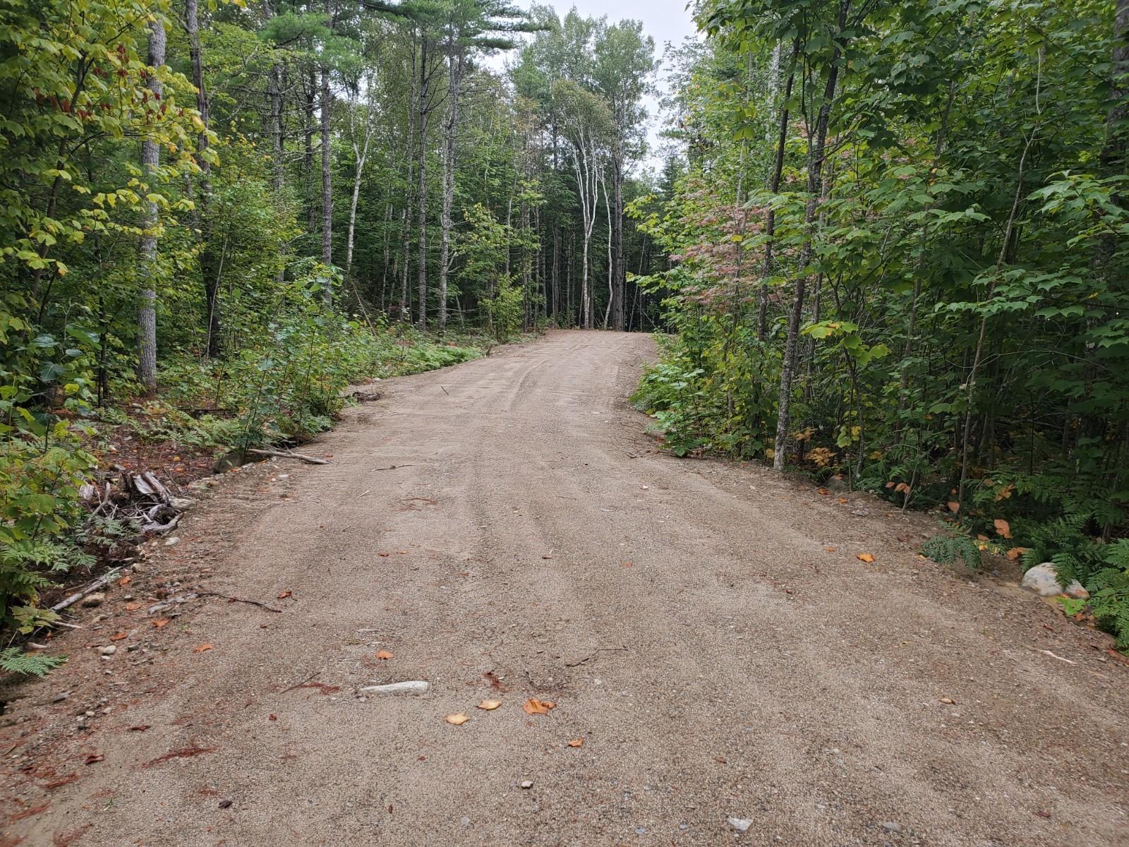 Lot #7 Birch Point Road Cooper, ME 04657 - Photo 3 of 7 20200910_093137