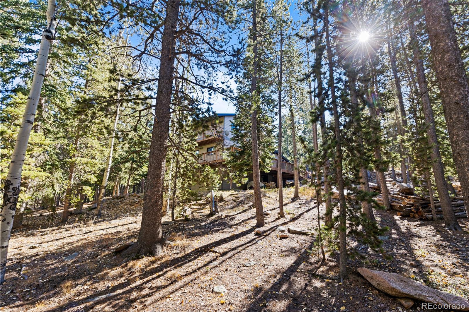 10684 Beas Drive Conifer, CO 80433 - Photo 3 of 38 a view of a yard