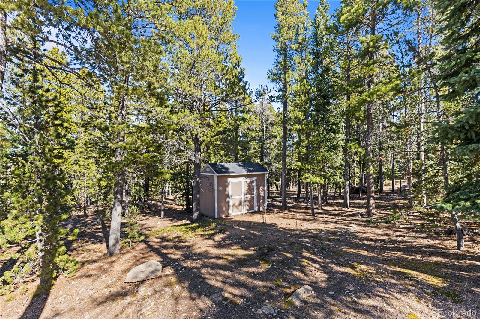 10684 Beas Drive Conifer, CO 80433 - Photo 4 of 38 a backyard of a house with lots of green space
