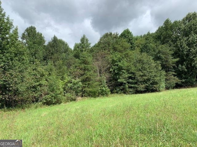 7322 Tribble Gap Road Alto, GA 30510 - Photo 5 of 11 a view of green field with trees in the background