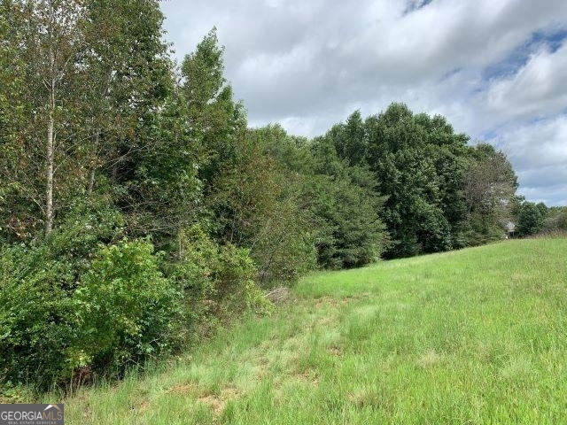 7322 Tribble Gap Road Alto, GA 30510 - Photo 7 of 11 a view of a lush green space