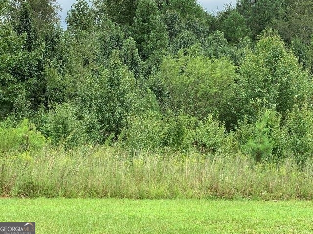 7322 Tribble Gap Road Alto, GA 30510 - Photo 8 of 11 a view of a green field