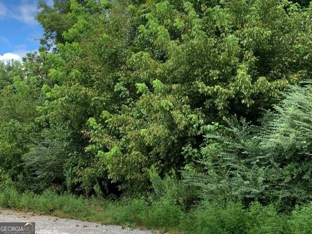 7322 Tribble Gap Road Alto, GA 30510 - Photo 10 of 11 a view of a lush green forest