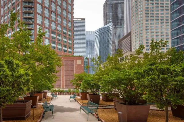 $4,000 | 440 North McClurg Court, Unit 513, Chicago, IL 60611
